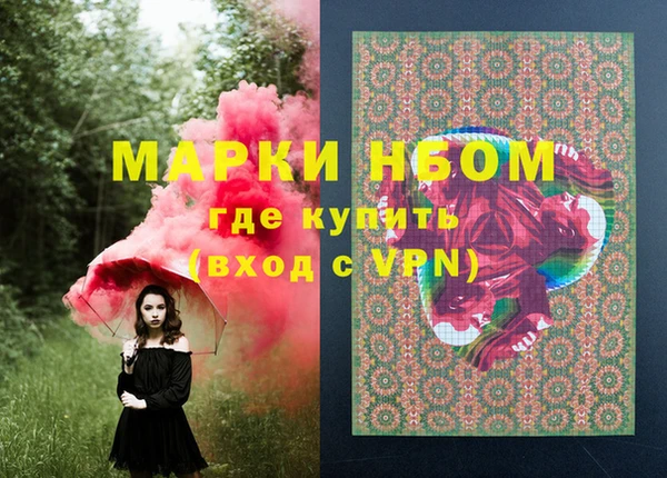 PSILOCYBIN Бородино